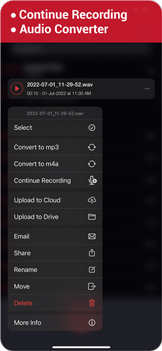 Audio Recorder screenshot 4