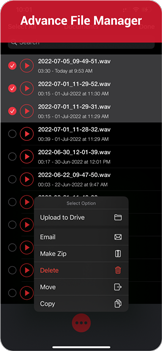 Audio Recorder screenshot 5