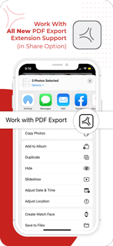 PDF Export screenshot 6