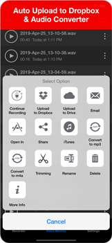 Voice Recorder screenshot 4